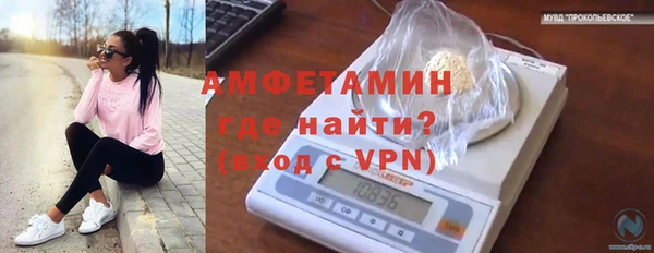 крисы Губаха