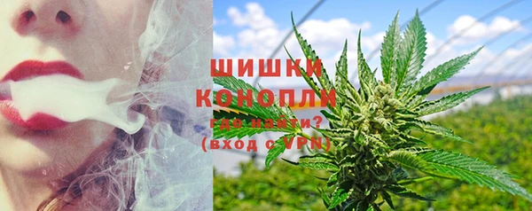 ГАЛЛЮЦИНОГЕННЫЕ ГРИБЫ Дедовск