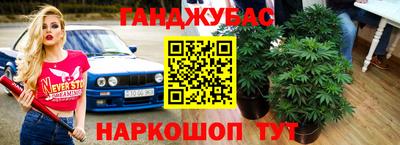 прущие крисы Беслан