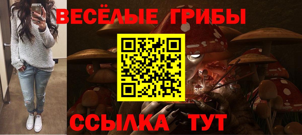 Галлюциногенные грибы Cubensis Барабинск