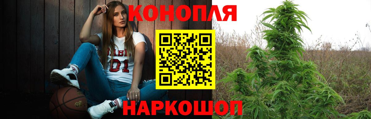 Бошки Шишки OG Kush  Барабинск  Конопля марихуана 